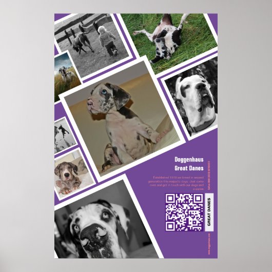 Enorme hond te koop poster (Voorkant)