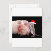 Enorme Kattenpoot Kleine Kerstmuis Feestdagenkaart (Voorkant / Achterkant)