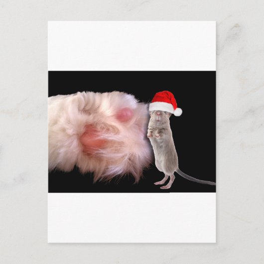 Enorme Kattenpoot Kleine Kerstmuis Feestdagenkaart (Voorkant)