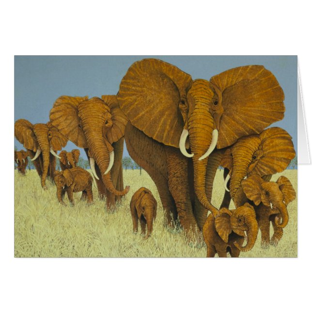 Enorme, maar zorgwekkende (Voorkant Horizontaal)