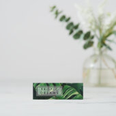 Enorme Monstera Blad Groene Tuin Foto Mini Visitekaartje (Staand voorkant)