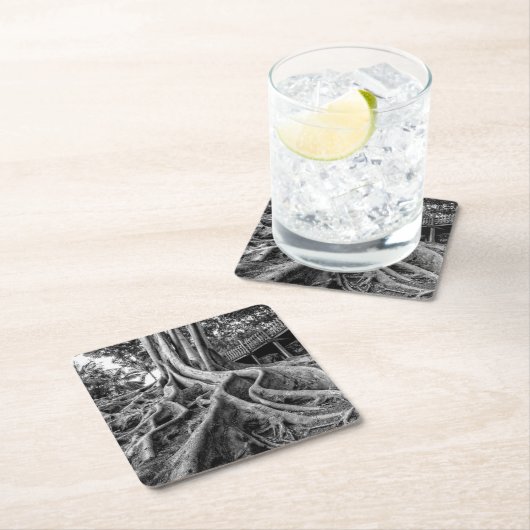 Enorme rubberwortels kartonnen onderzetters (Insitu)