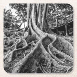 Enorme rubberwortels kartonnen onderzetters