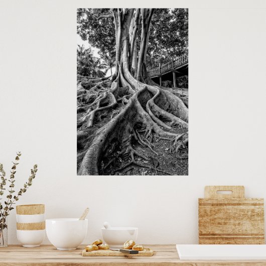 Enorme rubberwortels poster (Keuken)