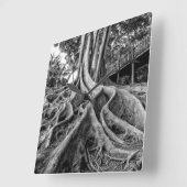 Enorme rubberwortels vierkante klok (Hoek)