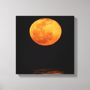 Enorme volle maan   South Padre Island, Texas Canvas Afdruk
