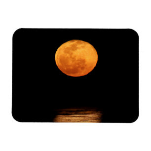 Enorme volle maan South Padre Island, Texas Magneet