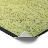 Enormous but caring poster (Hoek)