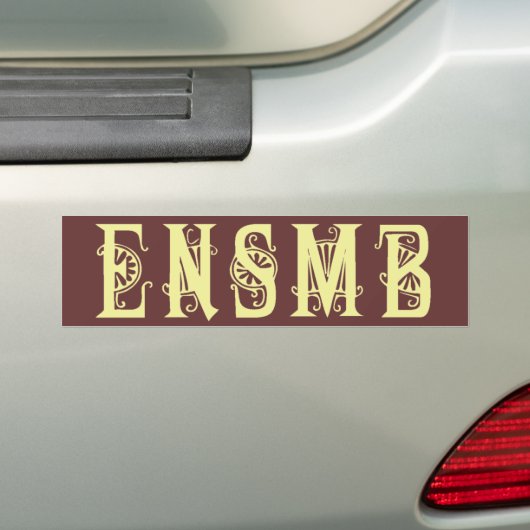 ENSMB lichte acroniem sticker (Op auto)