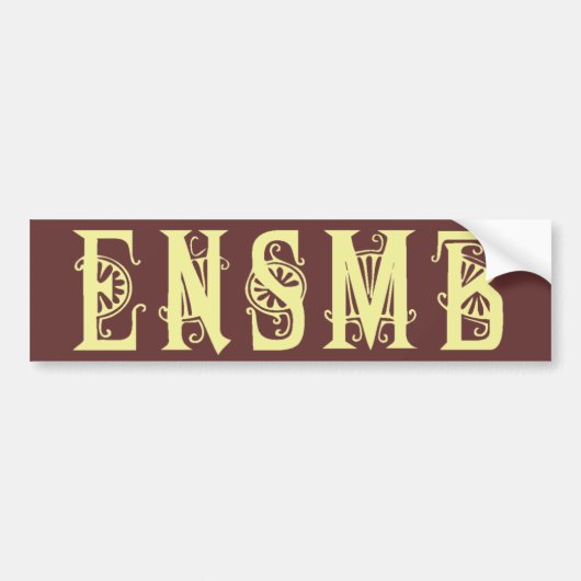 ENSMB lichte acroniem sticker (Voorkant)