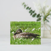 Ente auf einer Wiese Postkarte Briefkaart (Staand voorkant)