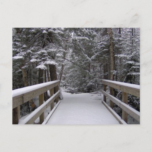 Enter - New Hampshire Snow Scene Briefkaart (Voorkant)