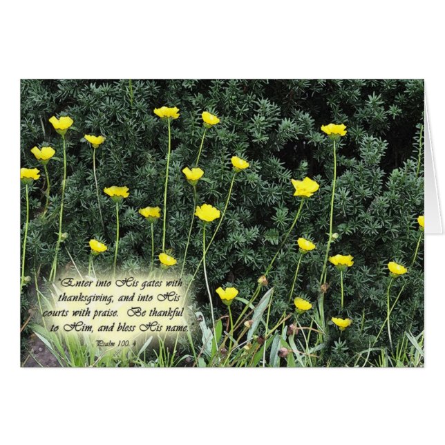 EnterintoHisgatesZazzle (Voorkant Horizontaal)