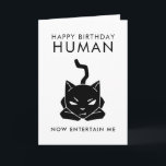 Entertain Me Funny Cat Verjaardag Kaart<br><div class="desc">Grappige verjaardagskaart voor kattenliefhebbers! Illustratie van een zwarte kat met tekst die zegt "Happy Birthday human. Nu vermaak ik me."</div>