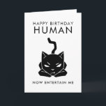 Entertain Me Funny Cat Verjaardag Kaart<br><div class="desc">Grappige verjaardagskaart voor kattenliefhebbers! Illustratie van een zwarte kat met tekst die zegt "Happy Birthday human. Nu vermaak ik me."</div>
