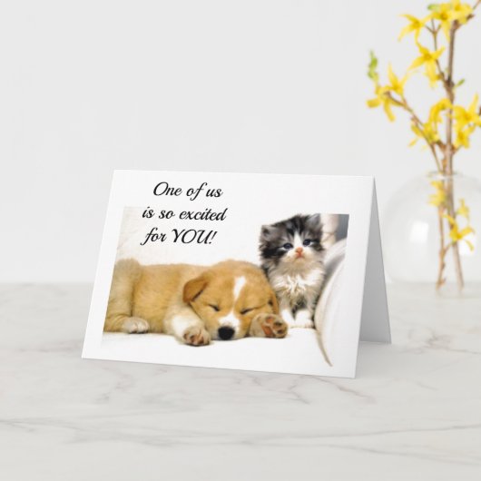 *** ENTHOUSIAST KITTEN *** voor U RIJBEWIJS KRIJGT Kaart (Gele Bloem)