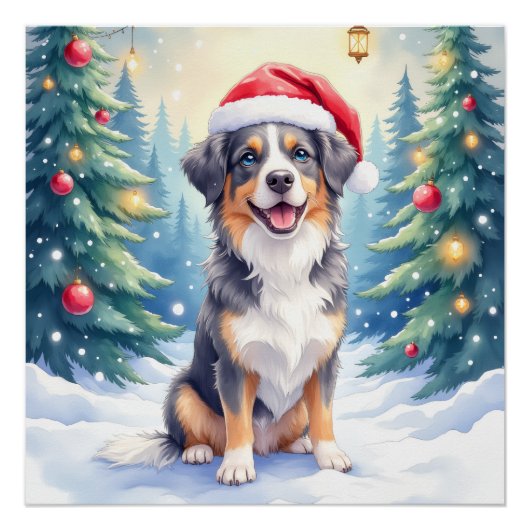 Entlebucher Berghond Besneeuwd Bos Sinterklaas Perfect Poster (Voorkant)