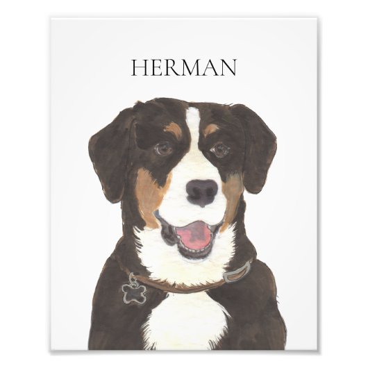 Entlebucher Berghond Kunst Foto Afdruk (Voorkant)