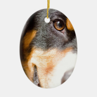 Entlebucher - Ik heb mijn ogen op jou! Keramisch Ornament