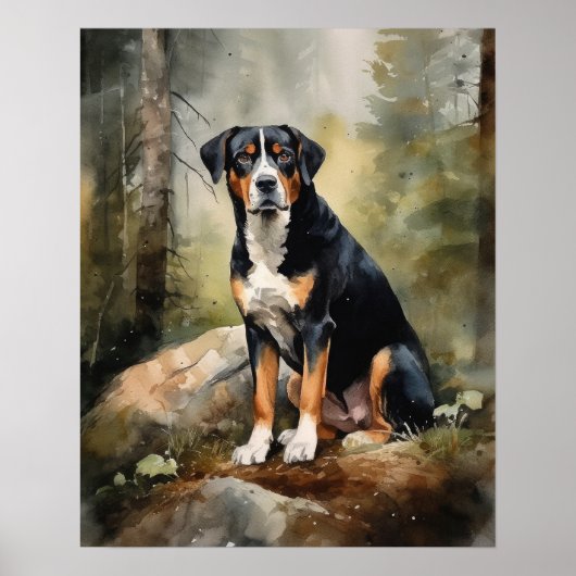 Entlebucher Mountain Dog Art Print Poster (Voorkant)