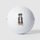Entlebucher Mountain Dog Golfballen (Voorkant)