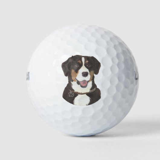 Entlebucher Mountain Dog Golfballen (Voorkant)