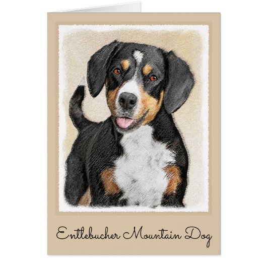 Entlebucher Mountain Dog schilderen - Originele ku (Voorkant)