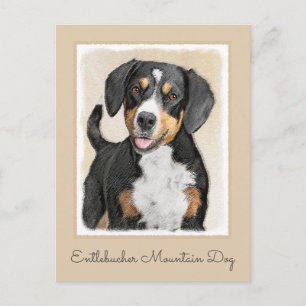 Entlebucher Mountain Dog schilderen - Originele ku Briefkaart
