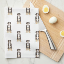 Entlebucher Mountain Dog