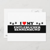ENTLEBUCHER SENNEHUND_ BRIEFKAART (Voorkant / Achterkant)