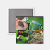 Entomologen van Color Magnets Magneet (Voorkant / Achterkant)
