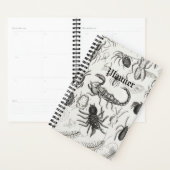Entomologie - Arachniden, Myriapoda 2022 Planner (Display)