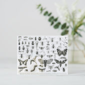 Entomologie Briefkaart (Staand voorkant)