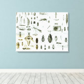 Entomologie Canvas Afdruk (Insitu (Houten vloer))