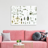 Entomologie Canvas Afdruk (Insitu (Woonkamer))