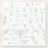 Entomologie Glazen Onderzetter (Achterkant)
