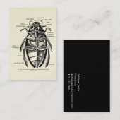 Entomologie Hydrofilidae Scavenger Beetle Visitekaartje (Voorkant / Achterkant)