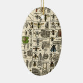  Entomologie Keramisch Ornament (Rechts)