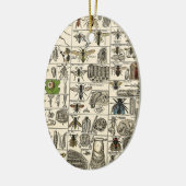  Entomologie Keramisch Ornament (Links)