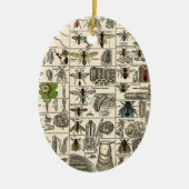  Entomologie Keramisch Ornament (Voorkant)