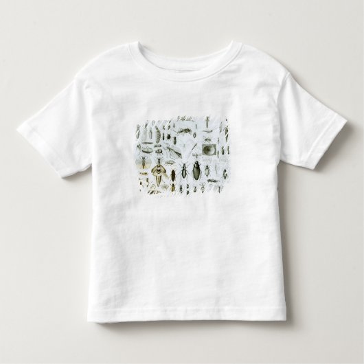 Entomologie Kinder Shirts (Voorkant)