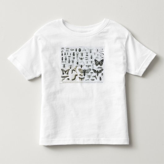 Entomologie Kinder Shirts (Voorkant)