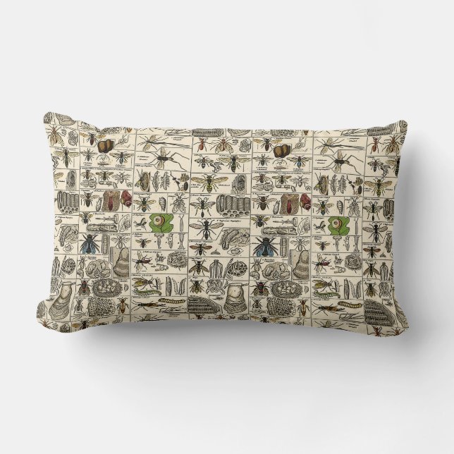 Entomologie Kussen (Voorkant)