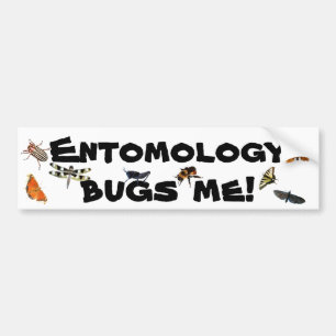 Entomologie leidt tot pijn bumpersticker
