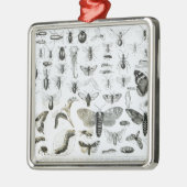 Entomologie Metalen Ornament (Links)