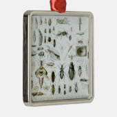 Entomologie Metalen Ornament (Rechts)