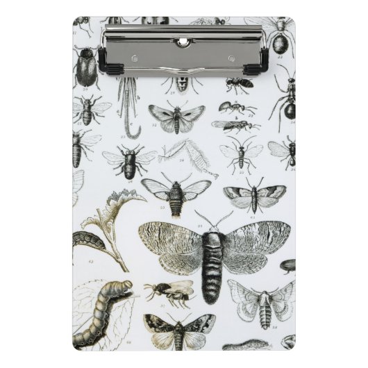 Entomologie Mini Klembord (Voorkant)