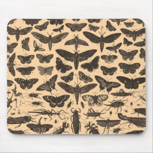 Entomologie Mousepad Muismat