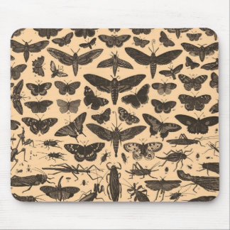  Entomologie Mousepad Muismat