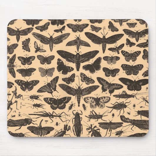  Entomologie Mousepad Muismat (Voorkant)